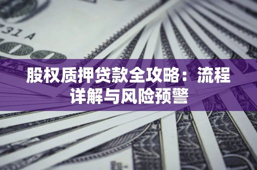 北京股权质押贷款全攻略：流程详解与风险预警