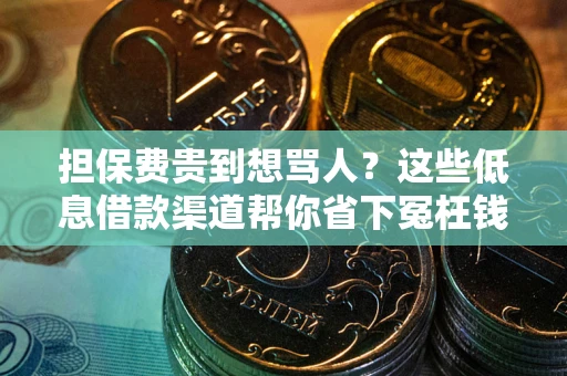 北京担保费贵到想骂人？这些低息借款渠道帮你省下冤枉钱