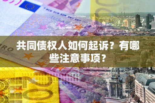 北京共同债权人如何起诉？有哪些注意事项？